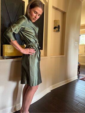 Karen Robertson Button up Shirt Dress